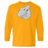 Youth Heavy Cotton™ Long Sleeve T-Shirt Thumbnail