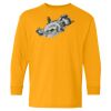 Youth Heavy Cotton™ Long Sleeve T-Shirt Thumbnail