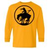 Youth Heavy Cotton™ Long Sleeve T-Shirt Thumbnail