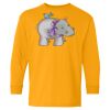 Youth Heavy Cotton™ Long Sleeve T-Shirt Thumbnail
