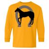 Youth Heavy Cotton™ Long Sleeve T-Shirt Thumbnail