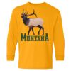 Youth Heavy Cotton™ Long Sleeve T-Shirt Thumbnail