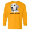 Youth Heavy Cotton™ Long Sleeve T-Shirt Thumbnail