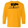 Youth Heavy Cotton™ Long Sleeve T-Shirt Thumbnail