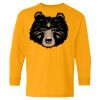 Youth Heavy Cotton™ Long Sleeve T-Shirt Thumbnail