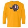 Youth Heavy Cotton™ Long Sleeve T-Shirt Thumbnail