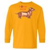 Youth Heavy Cotton™ Long Sleeve T-Shirt Thumbnail