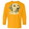 Youth Heavy Cotton™ Long Sleeve T-Shirt Thumbnail