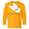Youth Heavy Cotton™ Long Sleeve T-Shirt Thumbnail