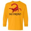 Youth Heavy Cotton™ Long Sleeve T-Shirt Thumbnail