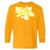 Youth Heavy Cotton™ Long Sleeve T-Shirt Thumbnail