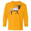 Youth Heavy Cotton™ Long Sleeve T-Shirt Thumbnail