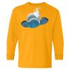 Youth Heavy Cotton™ Long Sleeve T-Shirt Thumbnail