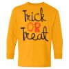 Youth Heavy Cotton™ Long Sleeve T-Shirt Thumbnail