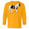 Youth Heavy Cotton™ Long Sleeve T-Shirt Thumbnail