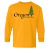 Youth Heavy Cotton™ Long Sleeve T-Shirt Thumbnail
