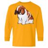 Youth Heavy Cotton™ Long Sleeve T-Shirt Thumbnail