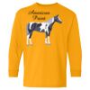 Youth Heavy Cotton™ Long Sleeve T-Shirt Thumbnail