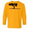 Youth Heavy Cotton™ Long Sleeve T-Shirt Thumbnail