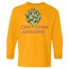 Youth Heavy Cotton™ Long Sleeve T-Shirt Thumbnail