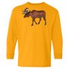 Youth Heavy Cotton™ Long Sleeve T-Shirt Thumbnail