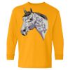 Youth Heavy Cotton™ Long Sleeve T-Shirt Thumbnail