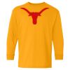 Youth Heavy Cotton™ Long Sleeve T-Shirt Thumbnail