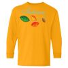 Youth Heavy Cotton™ Long Sleeve T-Shirt Thumbnail