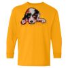 Youth Heavy Cotton™ Long Sleeve T-Shirt Thumbnail