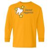 Youth Heavy Cotton™ Long Sleeve T-Shirt Thumbnail