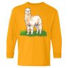 Youth Heavy Cotton™ Long Sleeve T-Shirt Thumbnail