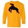 Youth Heavy Cotton™ Long Sleeve T-Shirt Thumbnail
