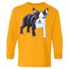 Youth Heavy Cotton™ Long Sleeve T-Shirt Thumbnail