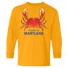 Youth Heavy Cotton™ Long Sleeve T-Shirt Thumbnail