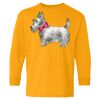 Youth Heavy Cotton™ Long Sleeve T-Shirt Thumbnail