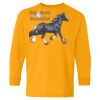 Youth Heavy Cotton™ Long Sleeve T-Shirt Thumbnail