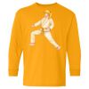 Youth Heavy Cotton™ Long Sleeve T-Shirt Thumbnail