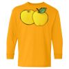 Youth Heavy Cotton™ Long Sleeve T-Shirt Thumbnail