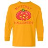 Youth Heavy Cotton™ Long Sleeve T-Shirt Thumbnail