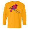 Youth Heavy Cotton™ Long Sleeve T-Shirt Thumbnail