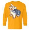 Youth Heavy Cotton™ Long Sleeve T-Shirt Thumbnail