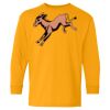 Youth Heavy Cotton™ Long Sleeve T-Shirt Thumbnail