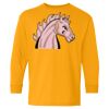 Youth Heavy Cotton™ Long Sleeve T-Shirt Thumbnail