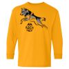 Youth Heavy Cotton™ Long Sleeve T-Shirt Thumbnail