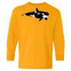 Youth Heavy Cotton™ Long Sleeve T-Shirt Thumbnail
