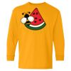 Youth Heavy Cotton™ Long Sleeve T-Shirt Thumbnail