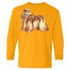 Youth Heavy Cotton™ Long Sleeve T-Shirt Thumbnail