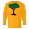 Youth Heavy Cotton™ Long Sleeve T-Shirt Thumbnail
