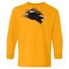 Youth Heavy Cotton™ Long Sleeve T-Shirt Thumbnail