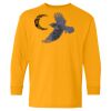 Youth Heavy Cotton™ Long Sleeve T-Shirt Thumbnail
